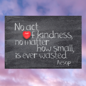 No act of kindness no matter how small is ever wasted